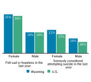 Serious Mental Health Disturbances Among High School Students, by Gender, 2009