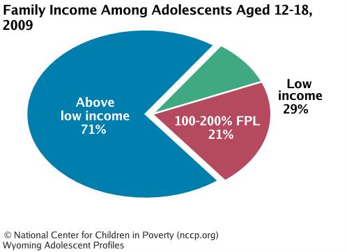 Family Income Among Adolescents Aged 12-18, 2008