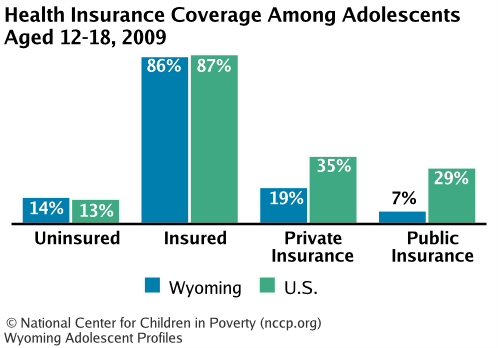 Health Insurance Coverage Among Adolescents Aged 12-18, 2008