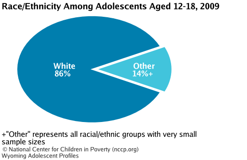 Race/Ethnicity Among Adolescents Aged 12-18, 2008