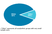 Race/Ethnicity Among Adolescents Aged 12-18, 2008